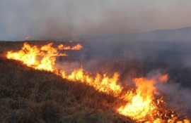 Поджигатели должны быть наказаны